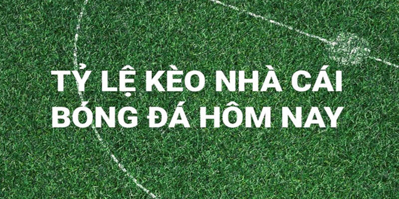 Cẩm Nang Kèo Nhà Cái Và Bí Quyết Soi Kèo Chính Xác 2024